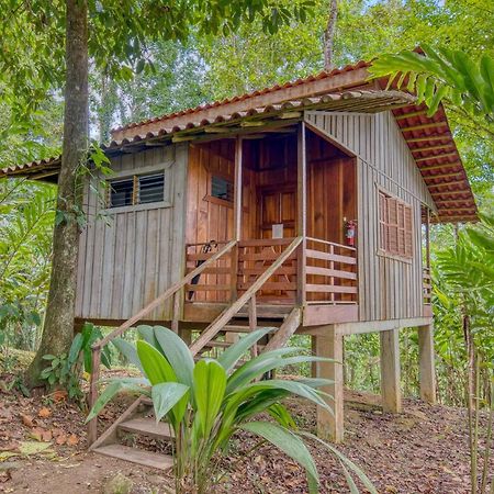 Selva Bananito Lodge Westfalia Exterior photo